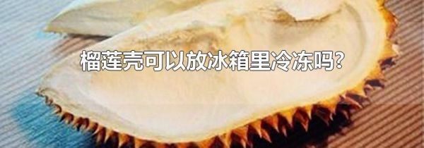 榴莲壳可以放冰箱里冷冻吗?