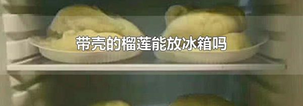 带壳的榴莲能放冰箱吗