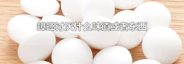 蟑螂讨厌什么味道或者东西