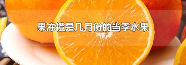 果冻橙是几月份的当季水果