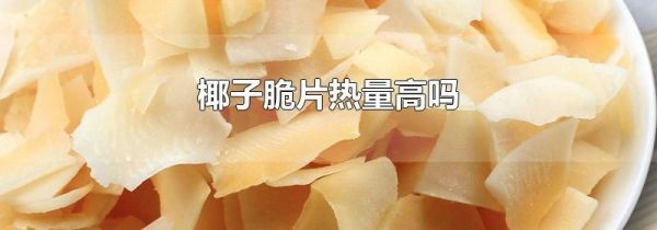 椰子脆片热量高吗