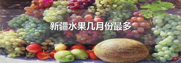 新疆水果几月份最多