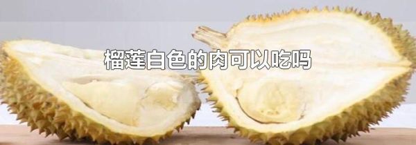 榴莲白色的肉可以吃吗