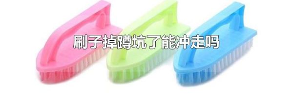 刷子掉蹲坑了能冲走吗