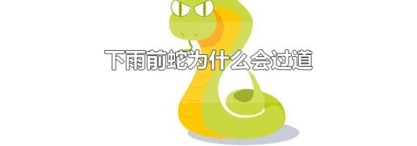 下雨前蛇为什么会过道