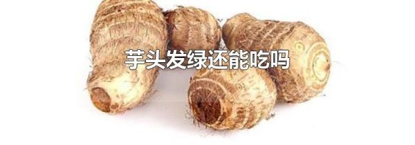 芋头发绿还能吃吗