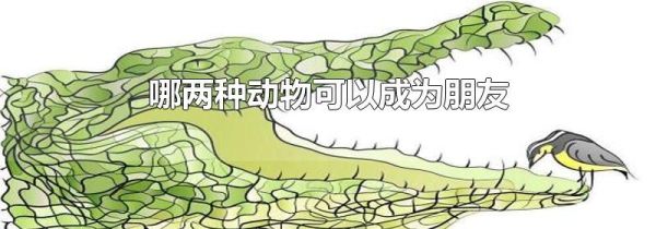 哪两种动物可以成为朋友