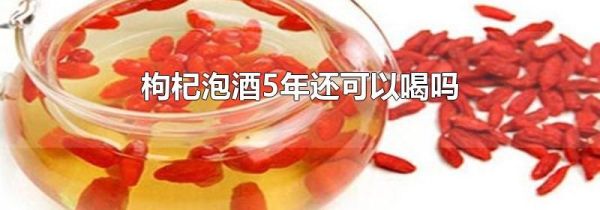 枸杞泡酒5年还可以喝吗