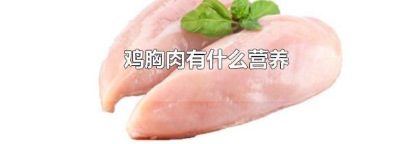 鸡胸肉有什么营养