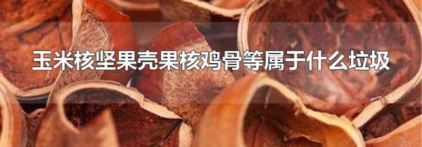 玉米核坚果壳果核鸡骨等属于什么垃圾