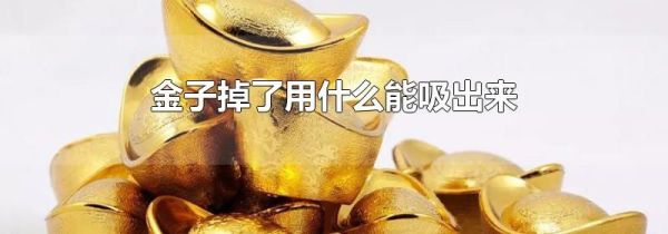 金子掉了用什么能吸出来