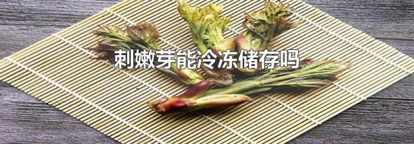 刺嫩芽能冷冻储存吗