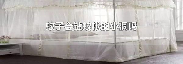 蚊子会钻蚊帐的小洞吗
