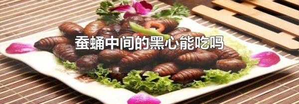 蚕蛹中间的黑心能吃吗