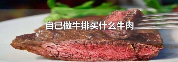 自己做牛排买什么牛肉