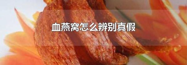 血燕窝怎么辨别真假