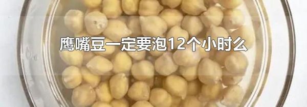 鹰嘴豆一定要泡12个小时么