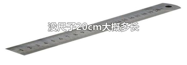 没尺子20cm大概多长