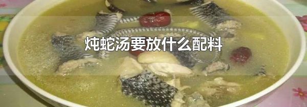 炖蛇汤要放什么配料
