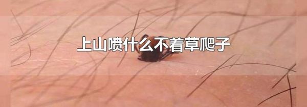 上山喷什么不着草爬子