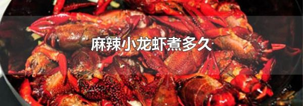 麻辣小龙虾煮多久