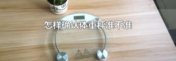 怎样确认体重秤准不准
