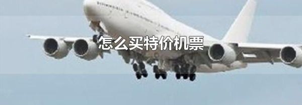 怎么买特价机票