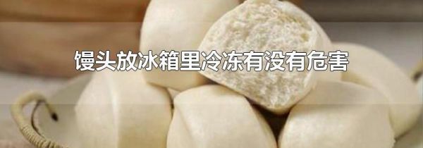 馒头放冰箱里冷冻有没有危害