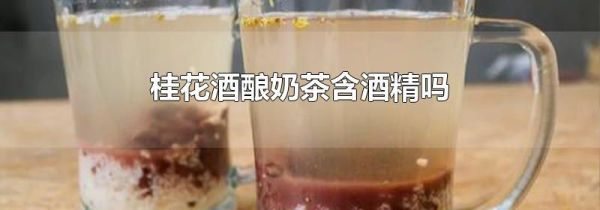 桂花酒酿奶茶含酒精吗