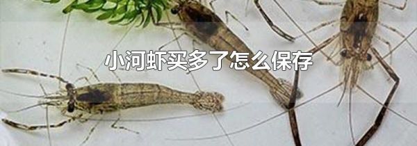 小河虾买多了怎么保存