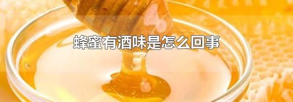 蜂蜜有酒味是怎么回事