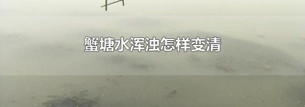 蟹塘水浑浊怎样变清