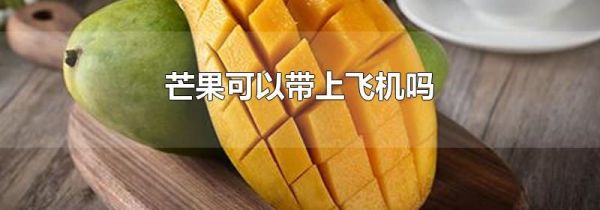 芒果可以带上飞机吗
