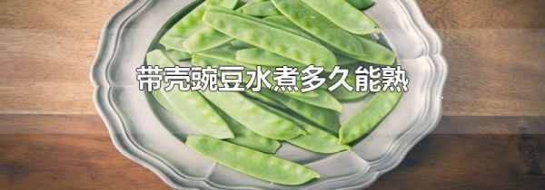 带壳豌豆水煮多久能熟