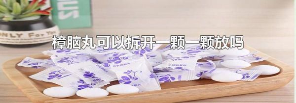 樟脑丸可以拆开一颗一颗放吗