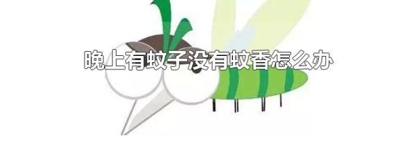 晚上有蚊子没有蚊香怎么办