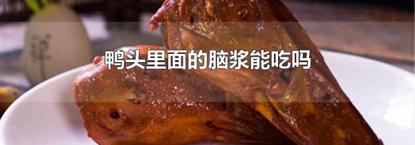 鸭头里面的脑浆能吃吗