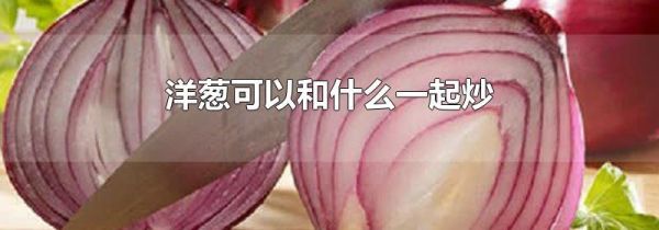 洋葱可以和什么一起炒