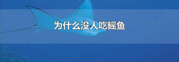 为什么没人吃鳐鱼
