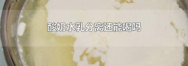 酸奶水乳分离还能喝吗