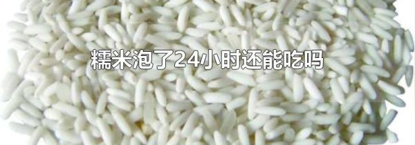 糯米泡了24小时还能吃吗