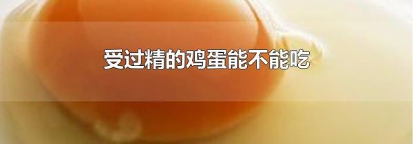 受过精的鸡蛋能不能吃