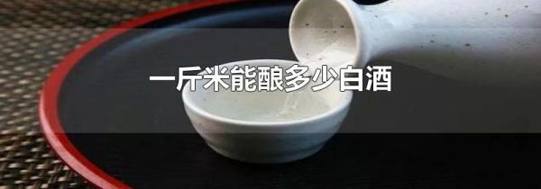 一斤米能酿多少白酒