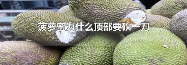 菠萝蜜为什么顶部要砍一刀