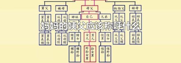 妈妈的姨父应该称呼什么