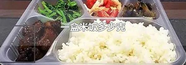 一盒米饭多少克