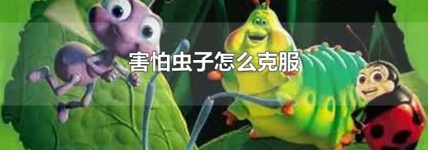 害怕虫子怎么克服