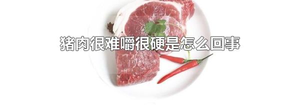 猪肉很难嚼很硬是怎么回事
