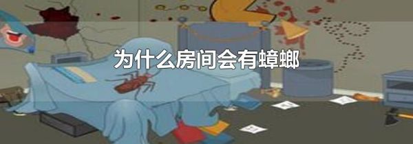 为什么房间会有蟑螂