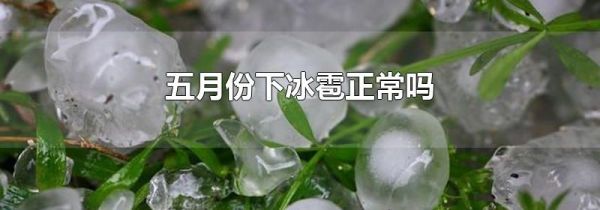 五月份下冰雹正常吗